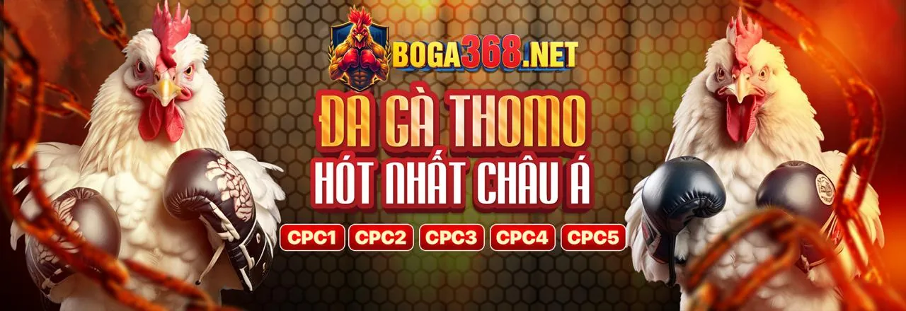 Hoàn trả tiền cược W69